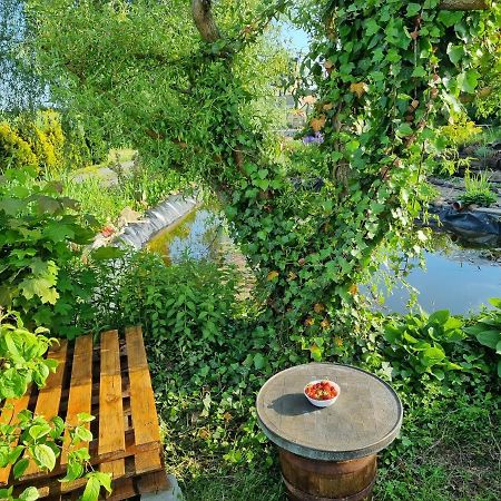 Apartament U Beti Opole Buitenkant foto