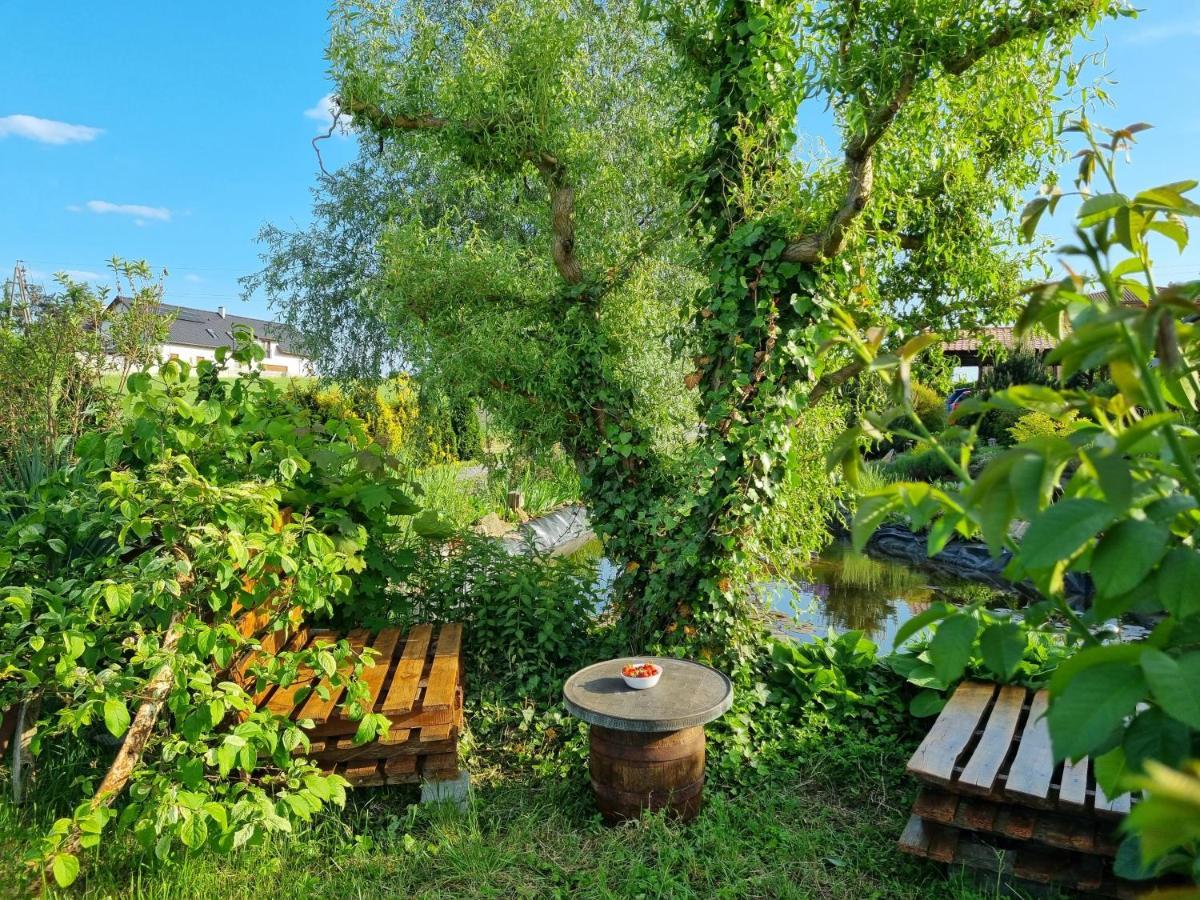Apartament U Beti Opole Buitenkant foto