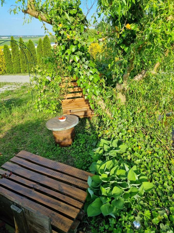 Apartament U Beti Opole Buitenkant foto