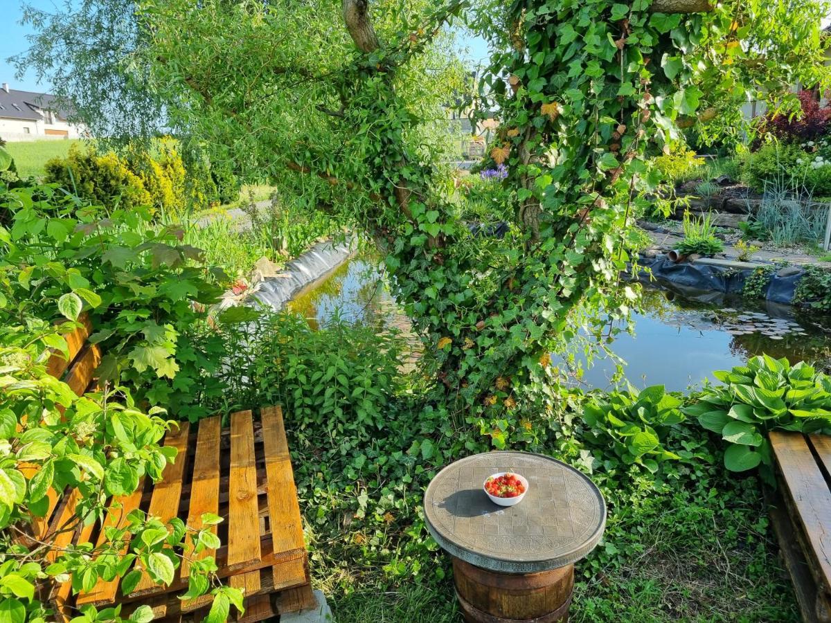 Apartament U Beti Opole Buitenkant foto